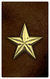 DNSHERT C 430 GD BR Star Gold Brown